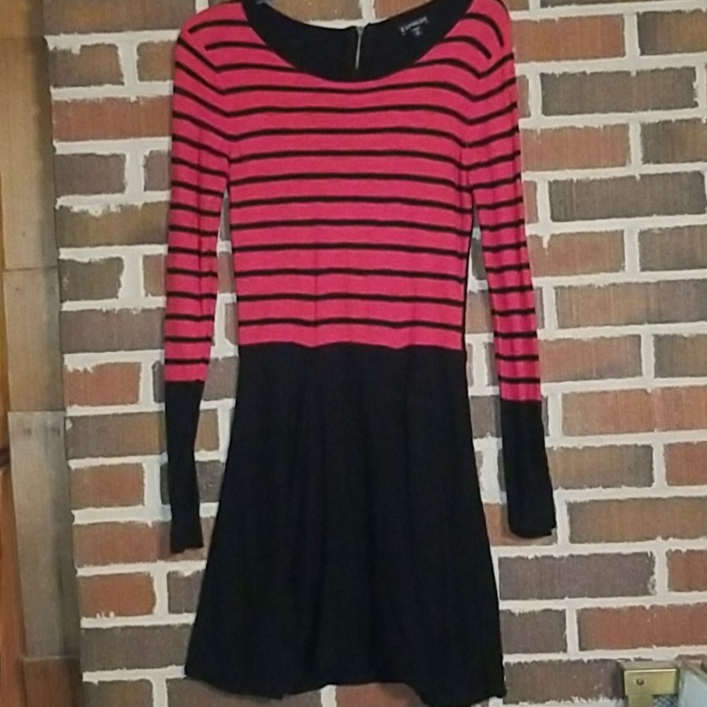 Express womens dress